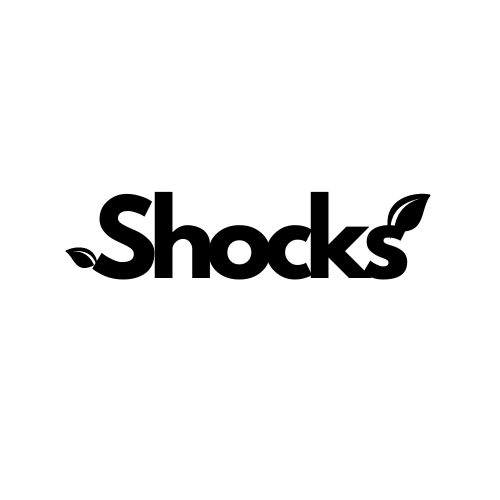 ShocksFootwear